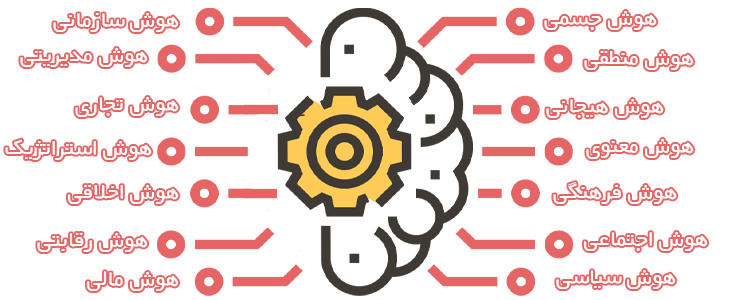 انواع هوش و کاربردهای آنها در زندگی